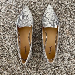 Pointed Toe Flats